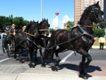 Calgary Parade 2007