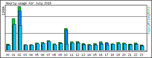 Hourly usage
