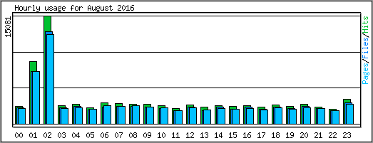 Hourly usage