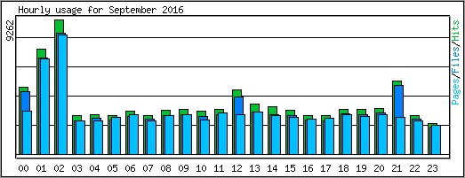 Hourly usage
