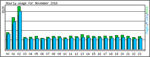 Hourly usage