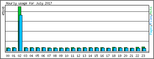 Hourly usage