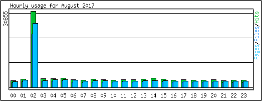Hourly usage
