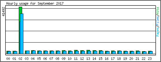 Hourly usage