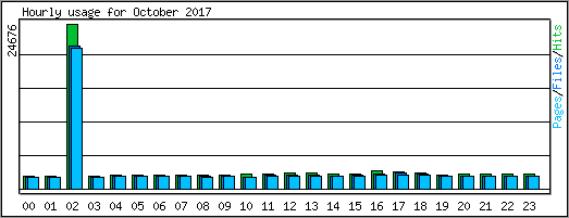 Hourly usage