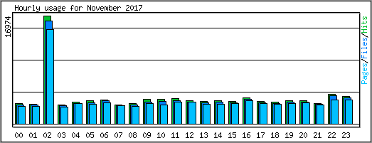 Hourly usage