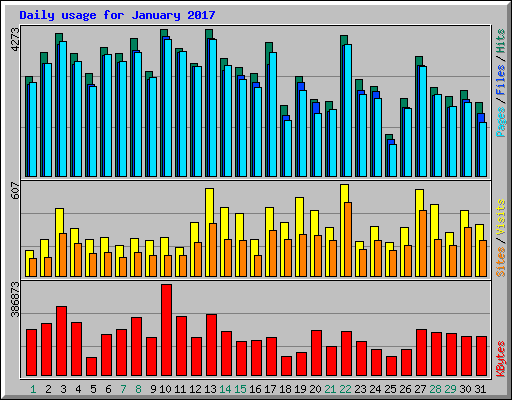 Daily usage for January 2017