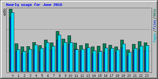 Hourly usage for June 2016
