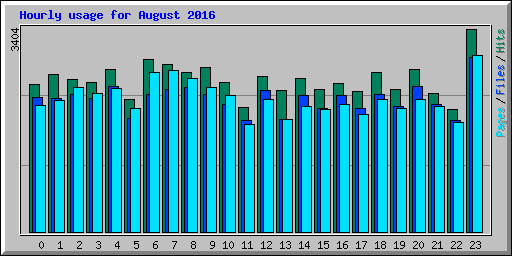 Hourly usage for August 2016