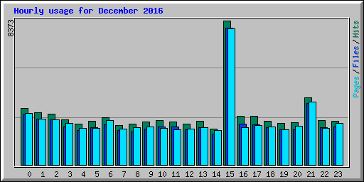 Hourly usage for December 2016