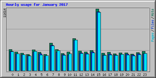 Hourly usage for January 2017