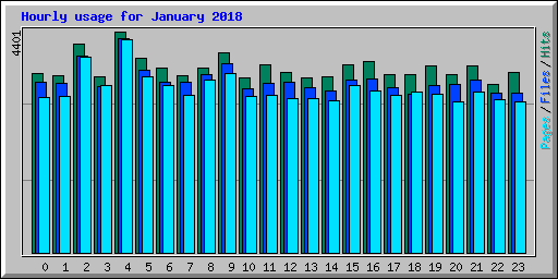 Hourly usage for January 2018
